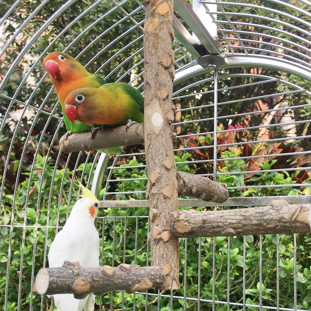 Bird Perch Nature Wood Stand for 3-4 Small Medium Parrots