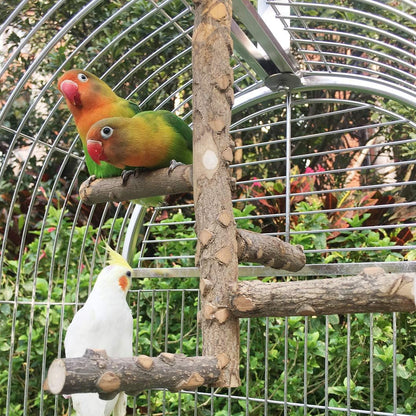 Bird Perch Nature Wood Stand for 3-4 Small Medium Parrots