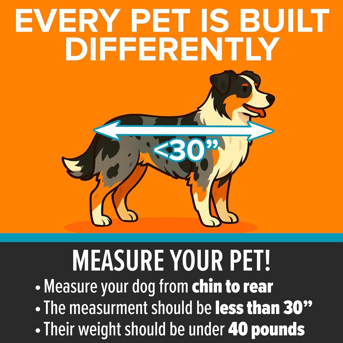 Soft-Sided Travel Safety Carrier for Pets