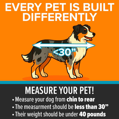 Soft-Sided Travel Safety Carrier for Pets