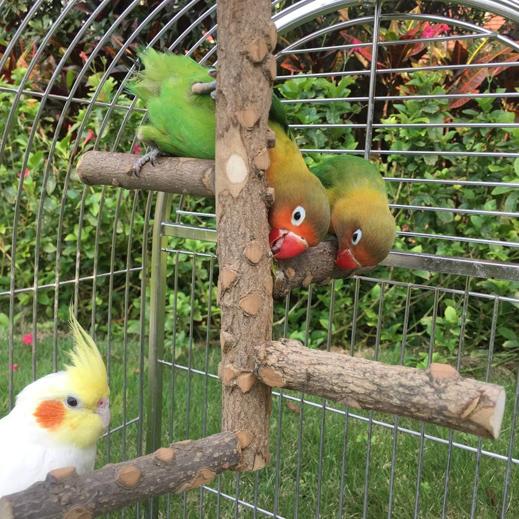 Bird Perch Nature Wood Stand for 3-4 Small Medium Parrots
