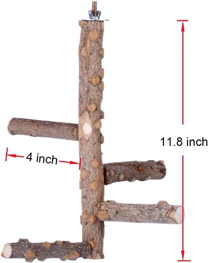 Bird Perch Nature Wood Stand for 3-4 Small Medium Parrots