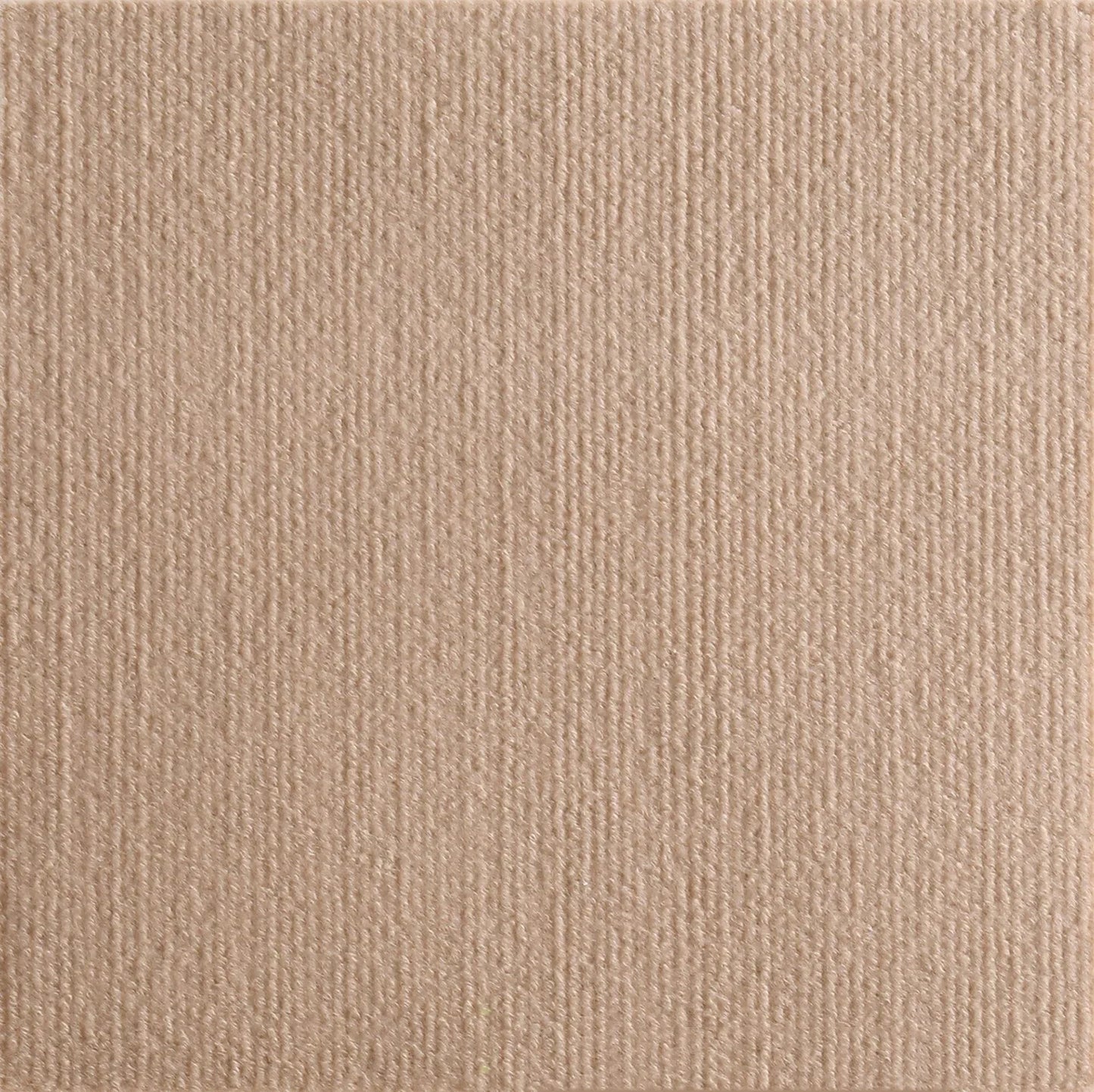 Cat Scratching Adhesive Tape - Protect Your Furniture