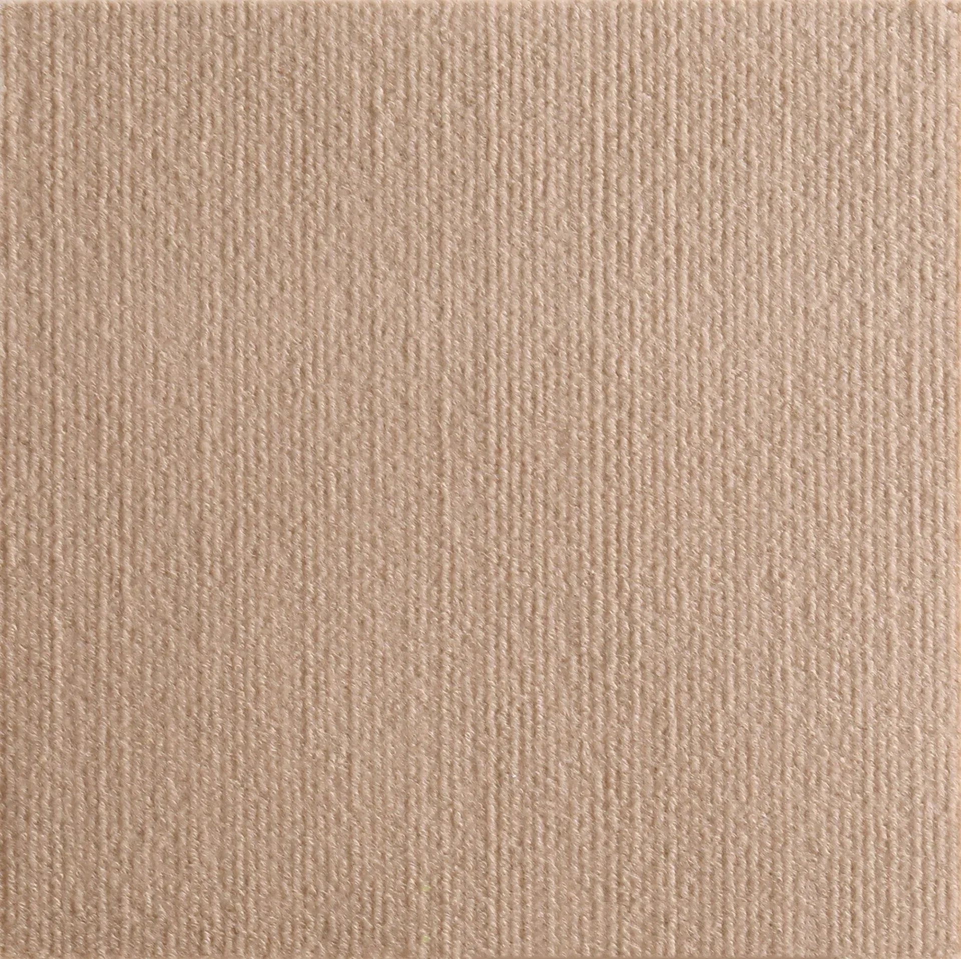 Cat Scratching Adhesive Tape - Protect Your Furniture