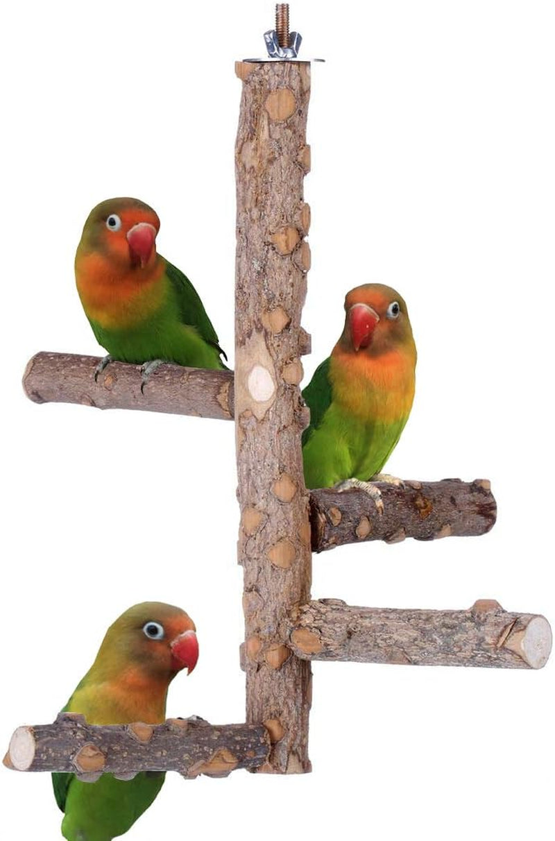 Bird Perch Nature Wood Stand for 3-4 Small Medium Parrots
